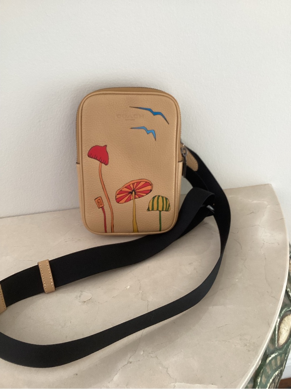 Coach X Observed by US Aden Crossbody Bag